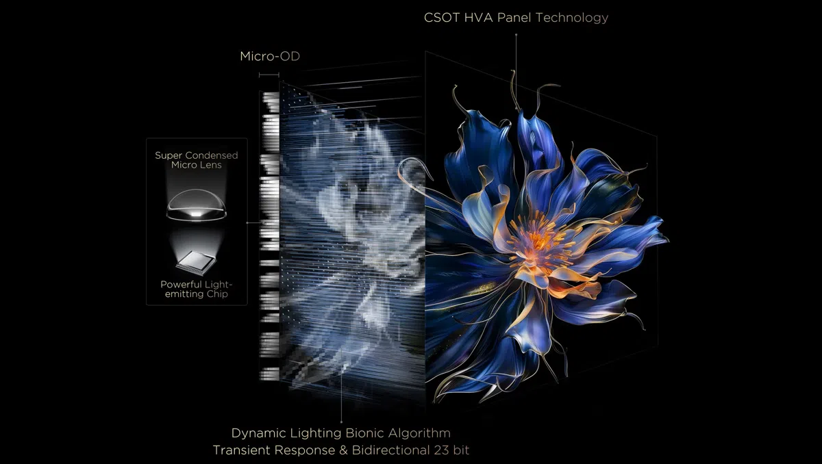 Control de halo en todo el dominio TCL